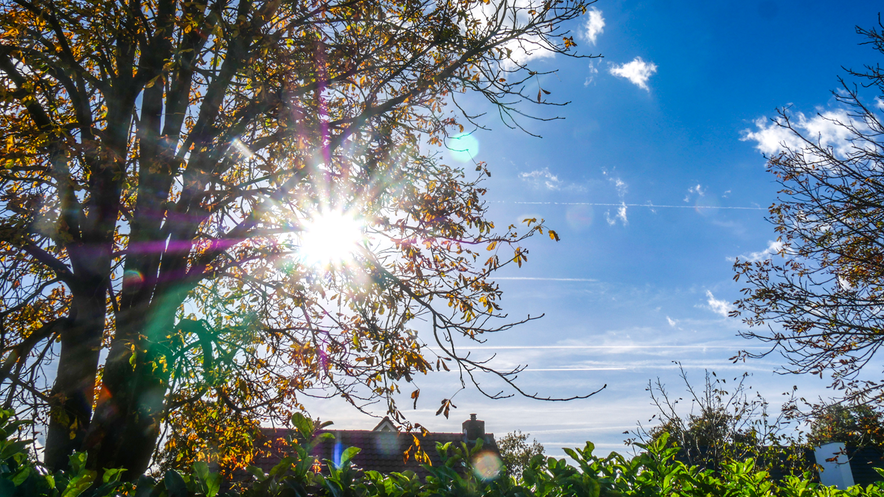 Het is een zeer zonnig jaar. Foto: Jos Hebben