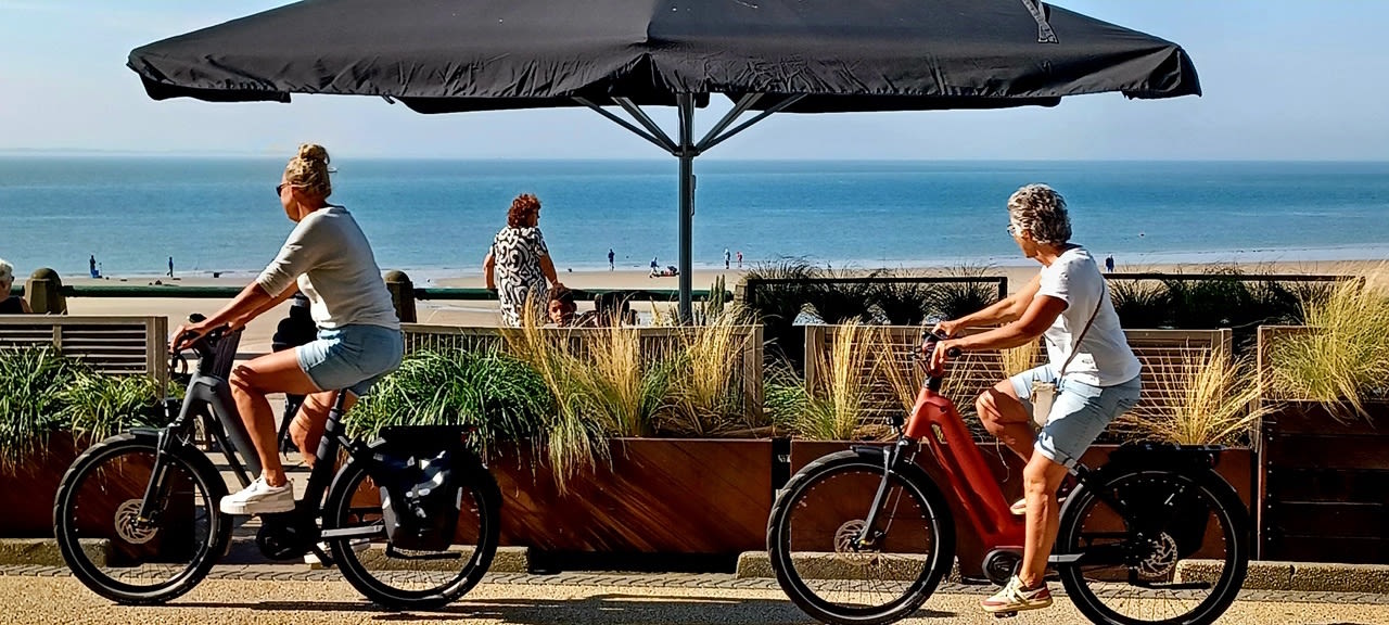 Het was een extreem warm jaar. Foto: Anne-Marie van Iersel