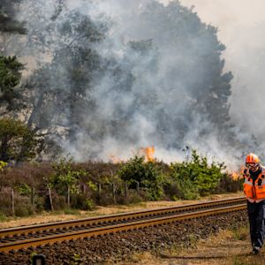 Zeer grote bosbrand bij Venray heeft veel impact
