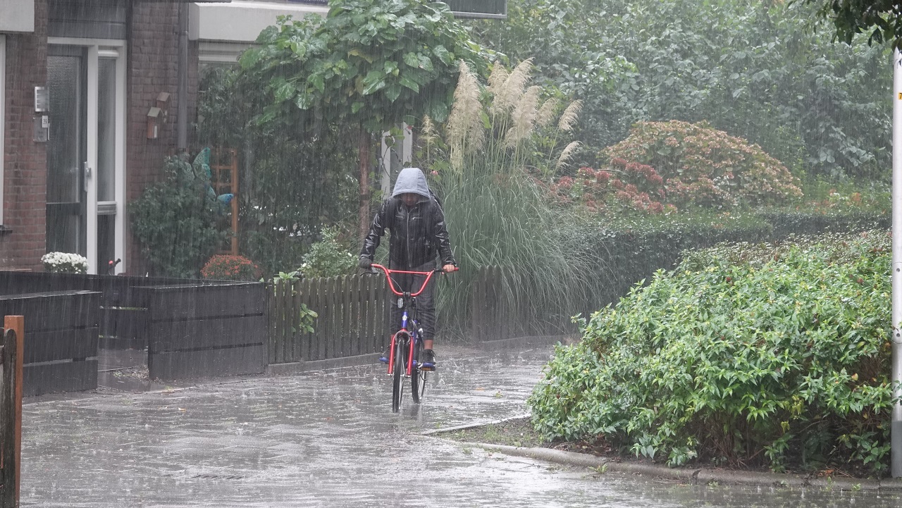 Veel regen vandaag. Foto: Ton Wesselius