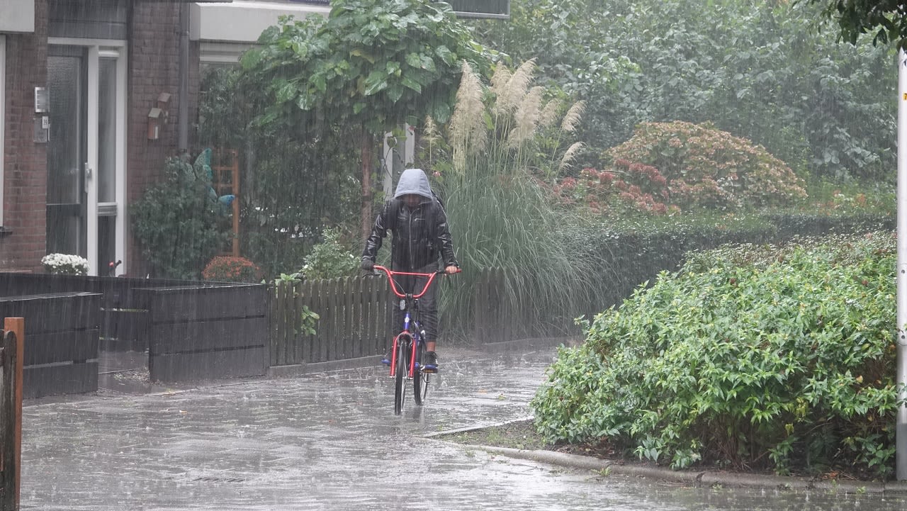 Veel regen vandaag. Foto: Ton Wesselius