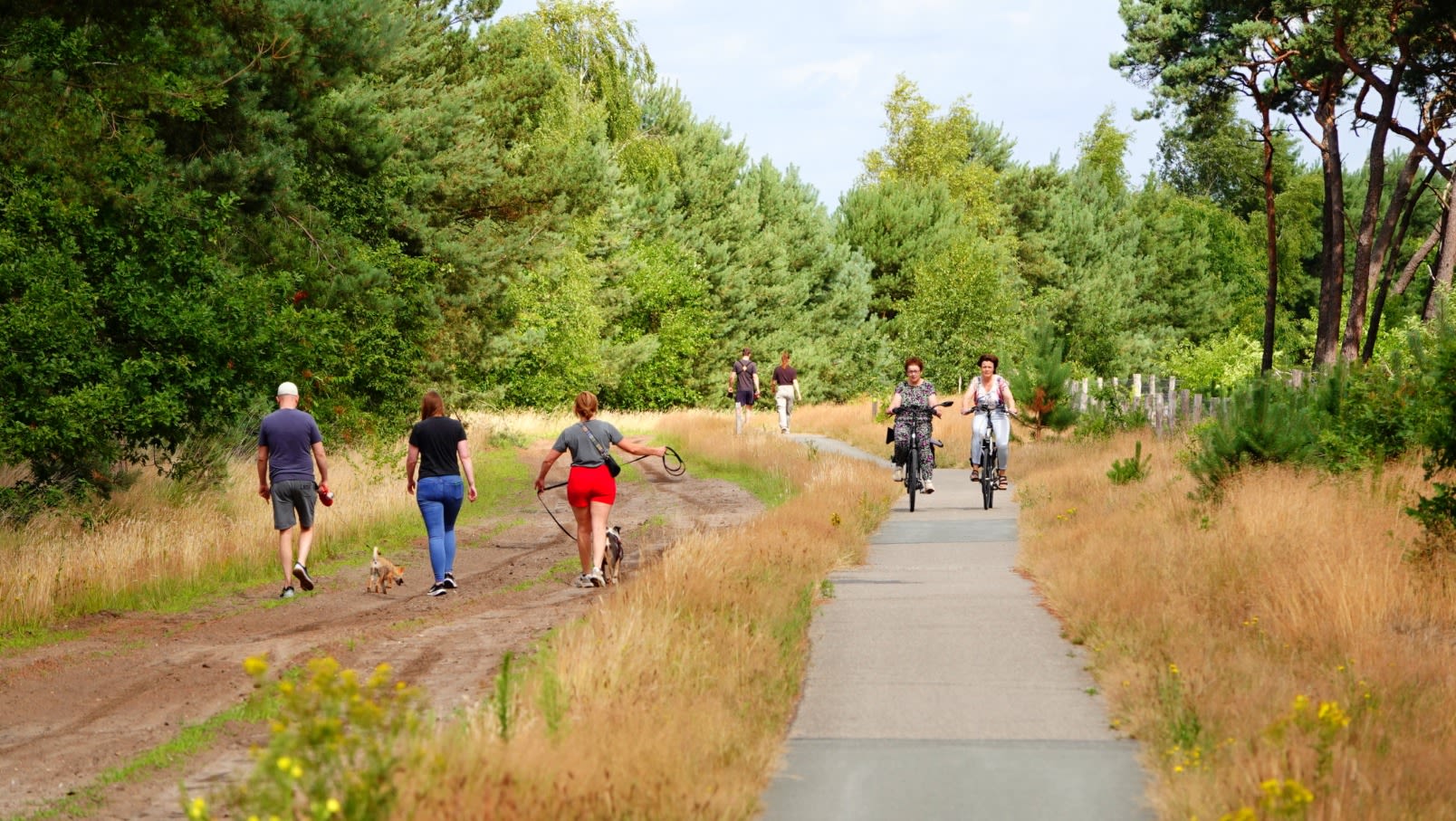 De natuur oogt op veel plekken nog erg droog. Foto: Ben Saanen