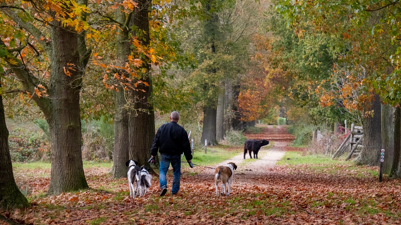 Het is dit weekend fraai weer voor een wandeling. Foto: Jos Hebben