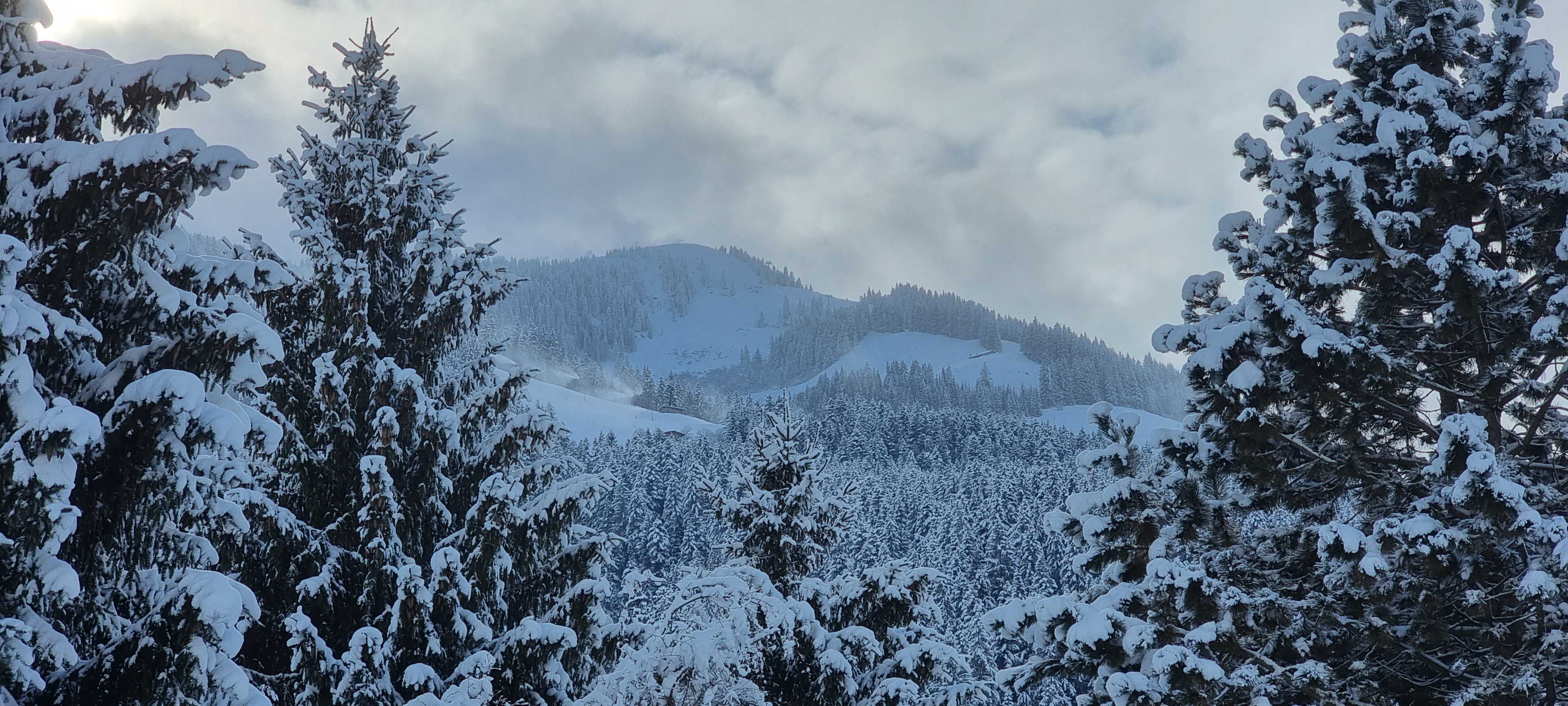 Sneeuw op de bomen in de Alpen. Foto: Jeroen Elferink