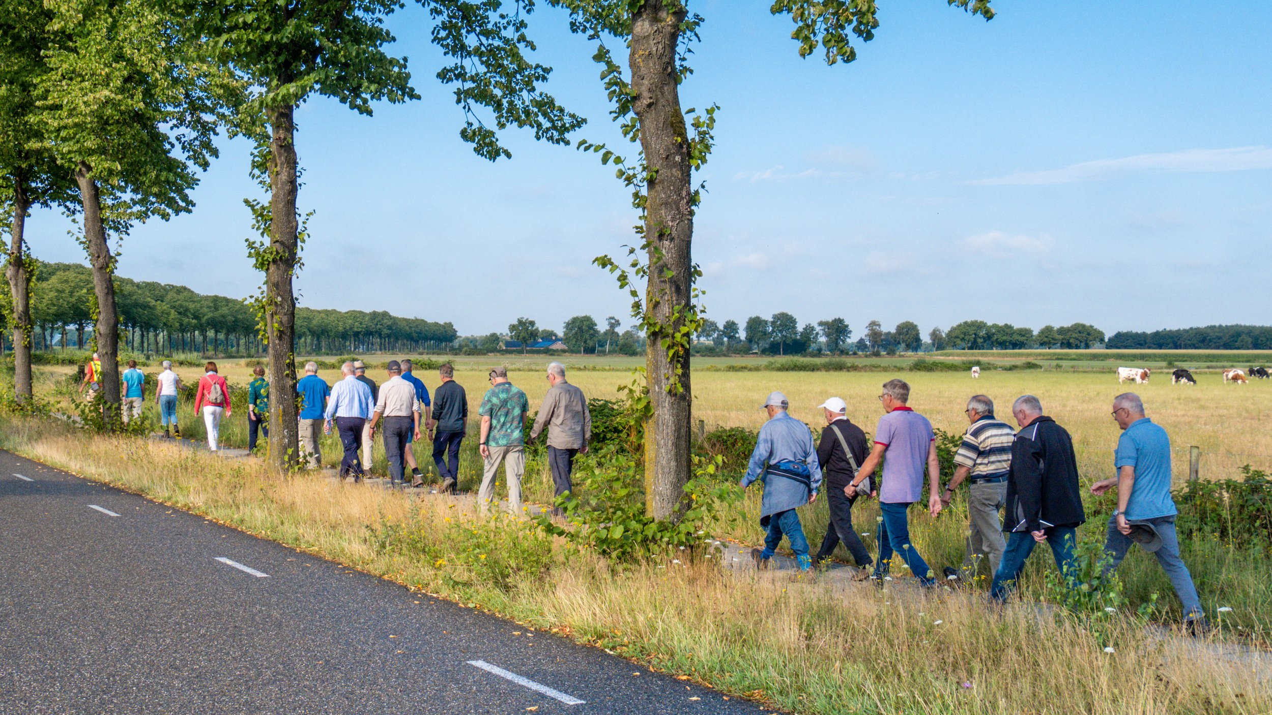 De zomer draait op volle toeren. Foto: Jos Hebben