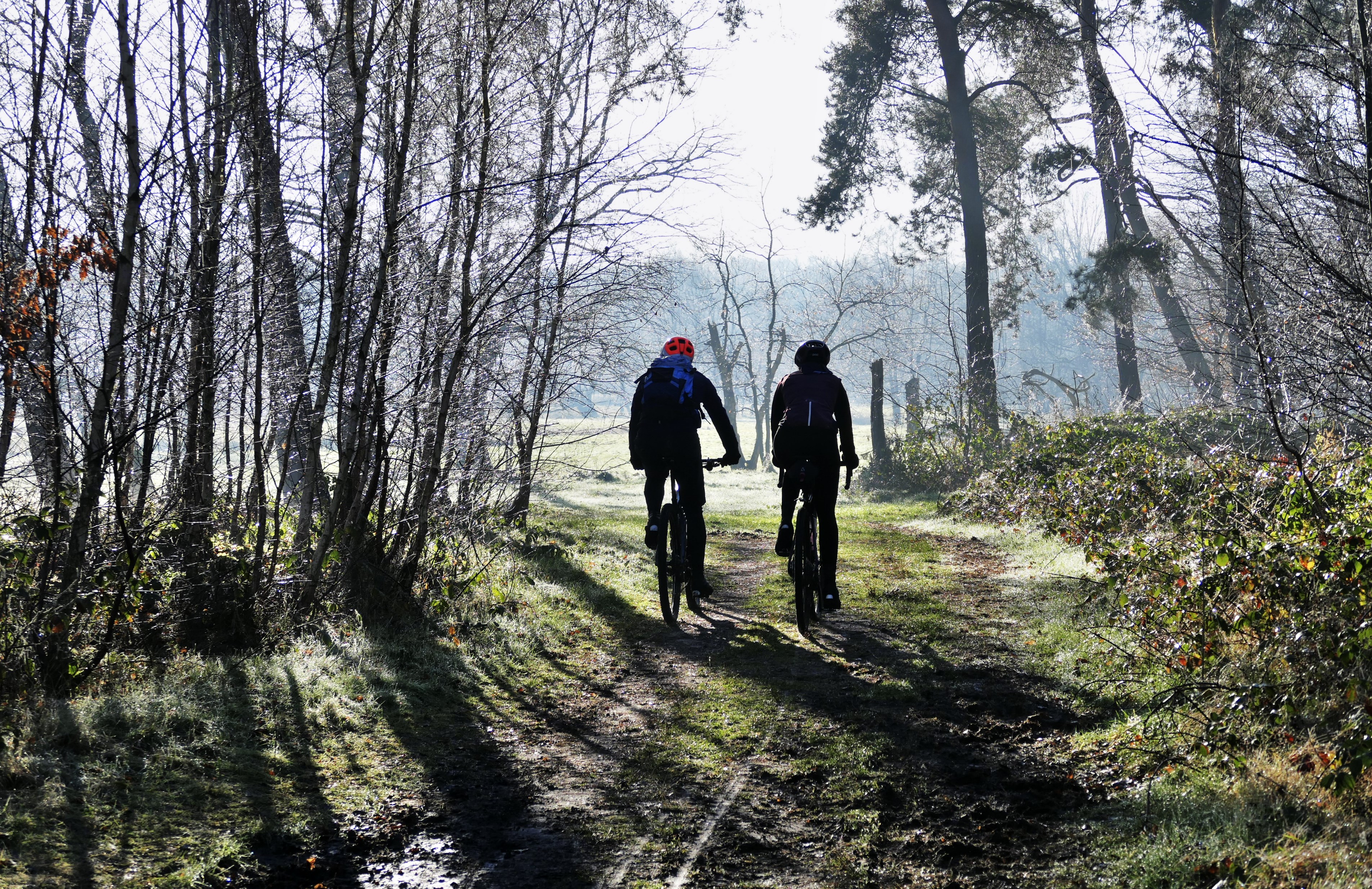 Afgelopen tijd was het erg mistig, maar komende week hebben we meer kans om de zon te zien. Foto: Ria Gerards.