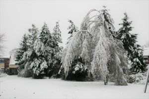 Terugblik: de sneeuwstorm van 25 november 2005
