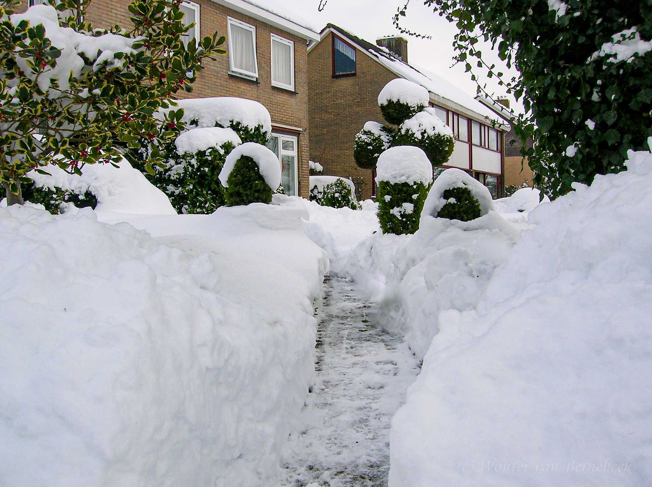Sneeuw in december 2009, Ureterp, Friesland. Foto: Wouter van Bernebeek