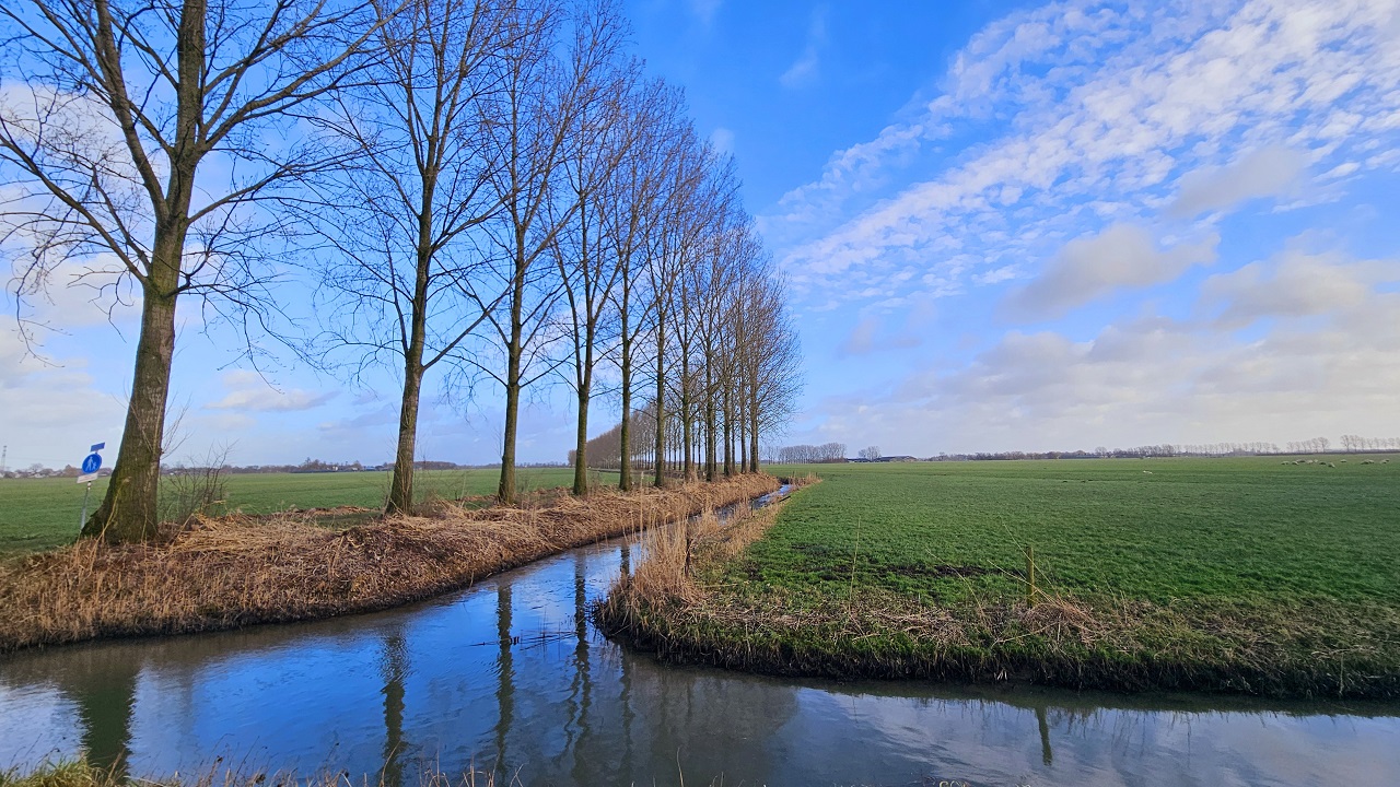 Het is deze dagen zeer zacht. Foto: Nely V Frankenhuyzen