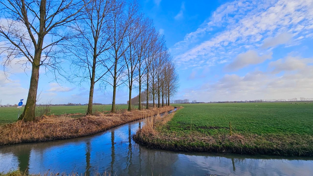 Het is deze dagen zeer zacht. Foto: Nely V Frankenhuyzen