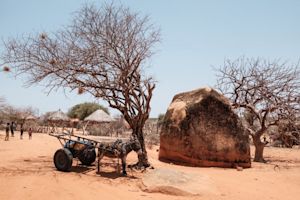 WMO: opwarming raakt Afrika hard, ook gletsjers bijna verdwenen