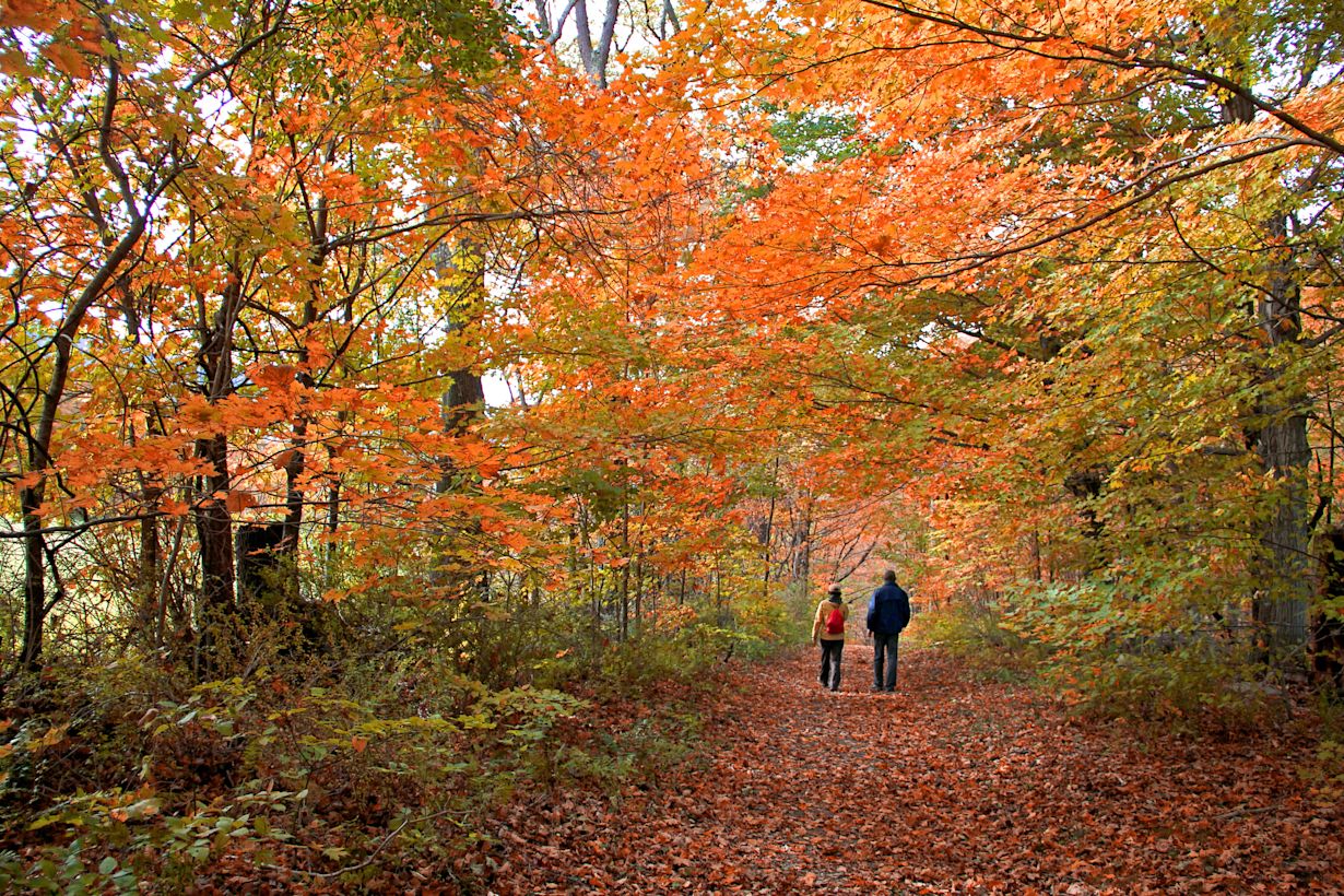 Het wordt lekker weer voor een herfstwandeling. Foto: Jim Glab / Adobe Stock