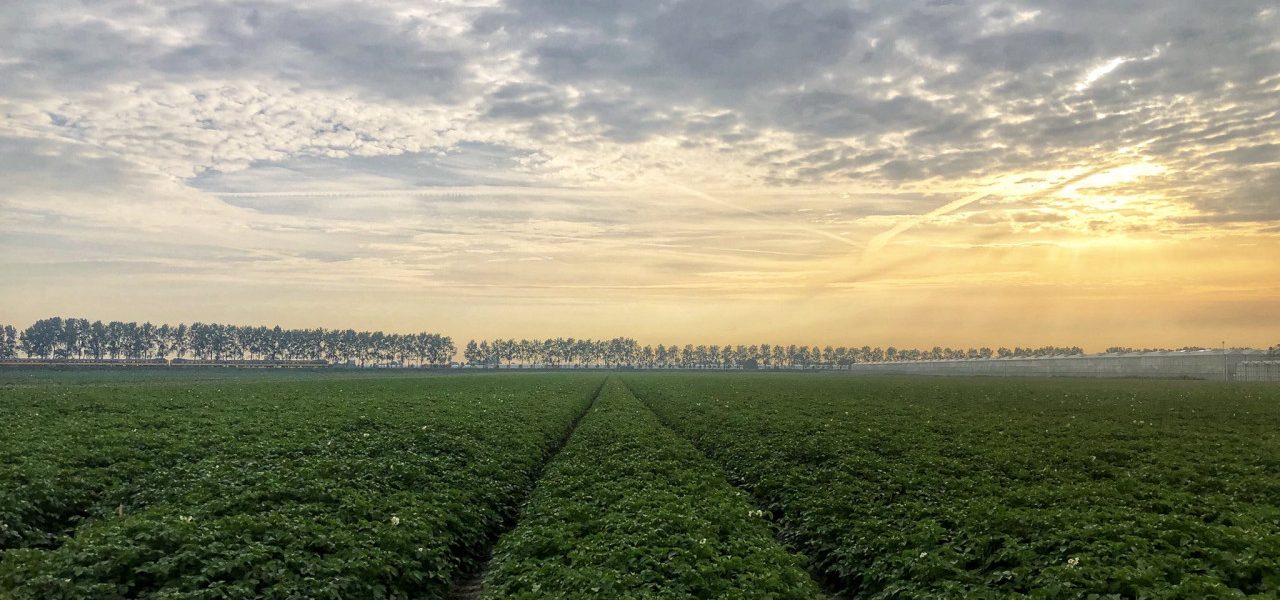 Jolanda-Bakker-zonsopkomst-in-akker-west-Nederland-1280x600