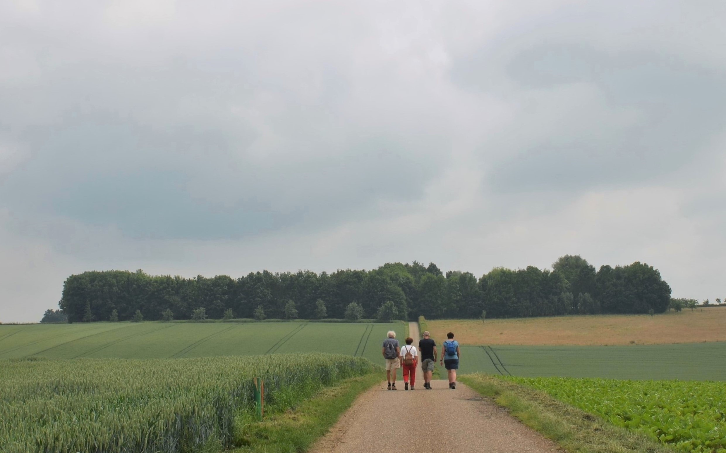 Benauwd weer. Foto: Jan Boneschansker