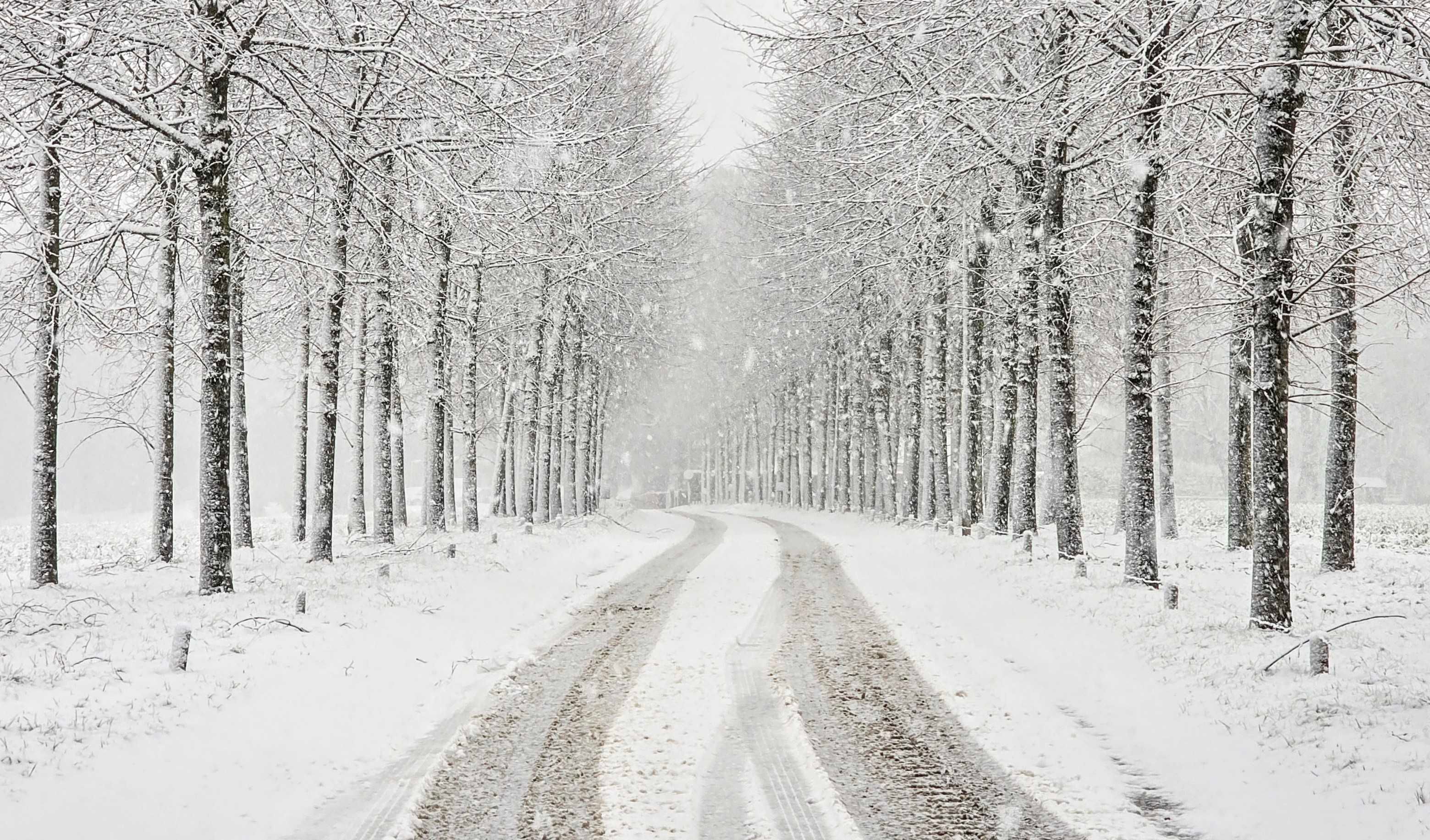 In de Heuvels bij Groesbeek en Berg en Dal ligt al een behoorlijk sneeuwdek. Foto: Wouter van Bernebeek