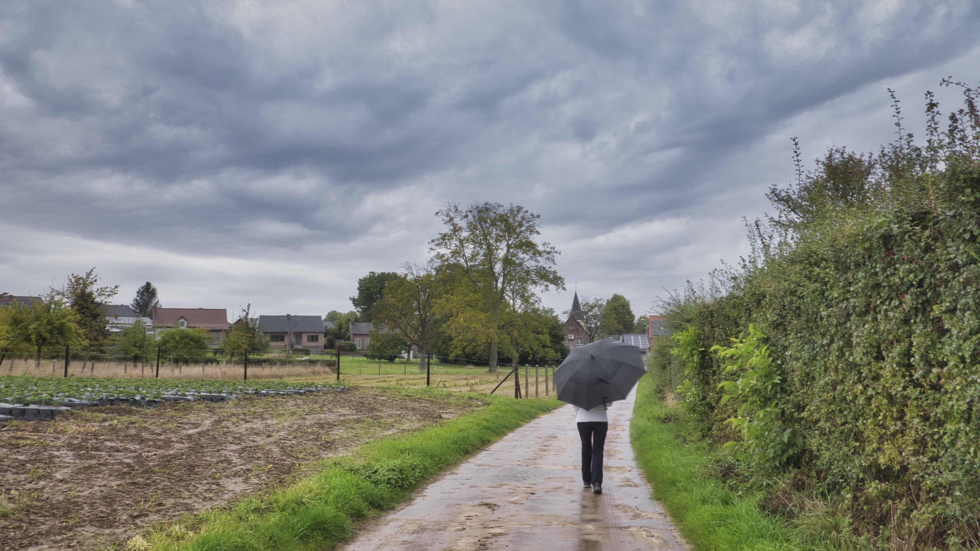 Het was een natte en sombere maand. Foto: Ryckmans Noël