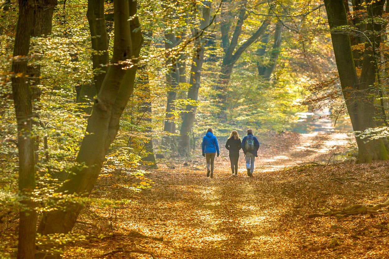De mooiste wandelroutes voor in de herfst