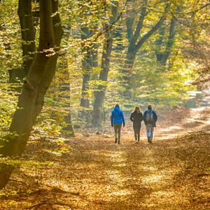 De mooiste wandelroutes voor in de herfst