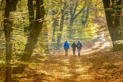 De mooiste wandelroutes voor in de herfst