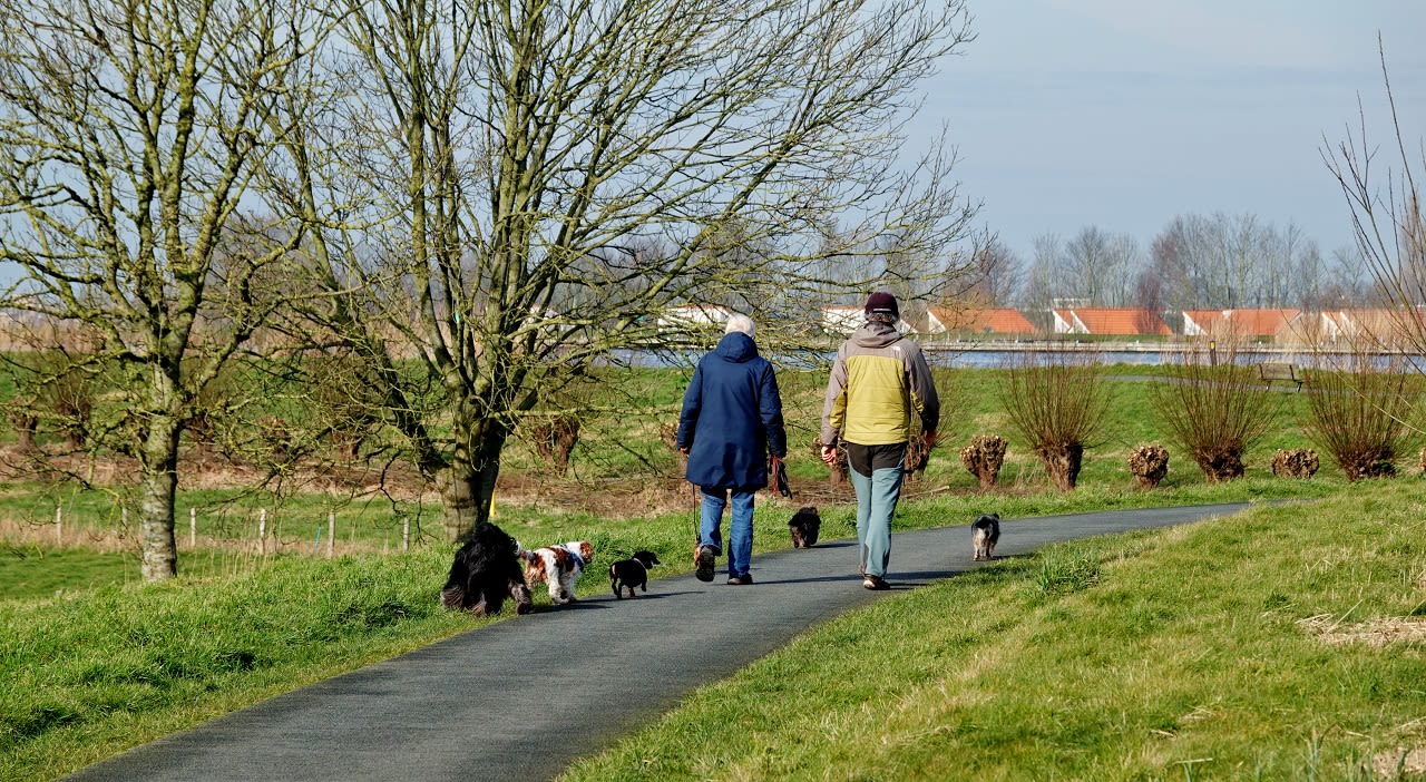 Lekker wandelen in het voorjaar, foto Ton Wesselius