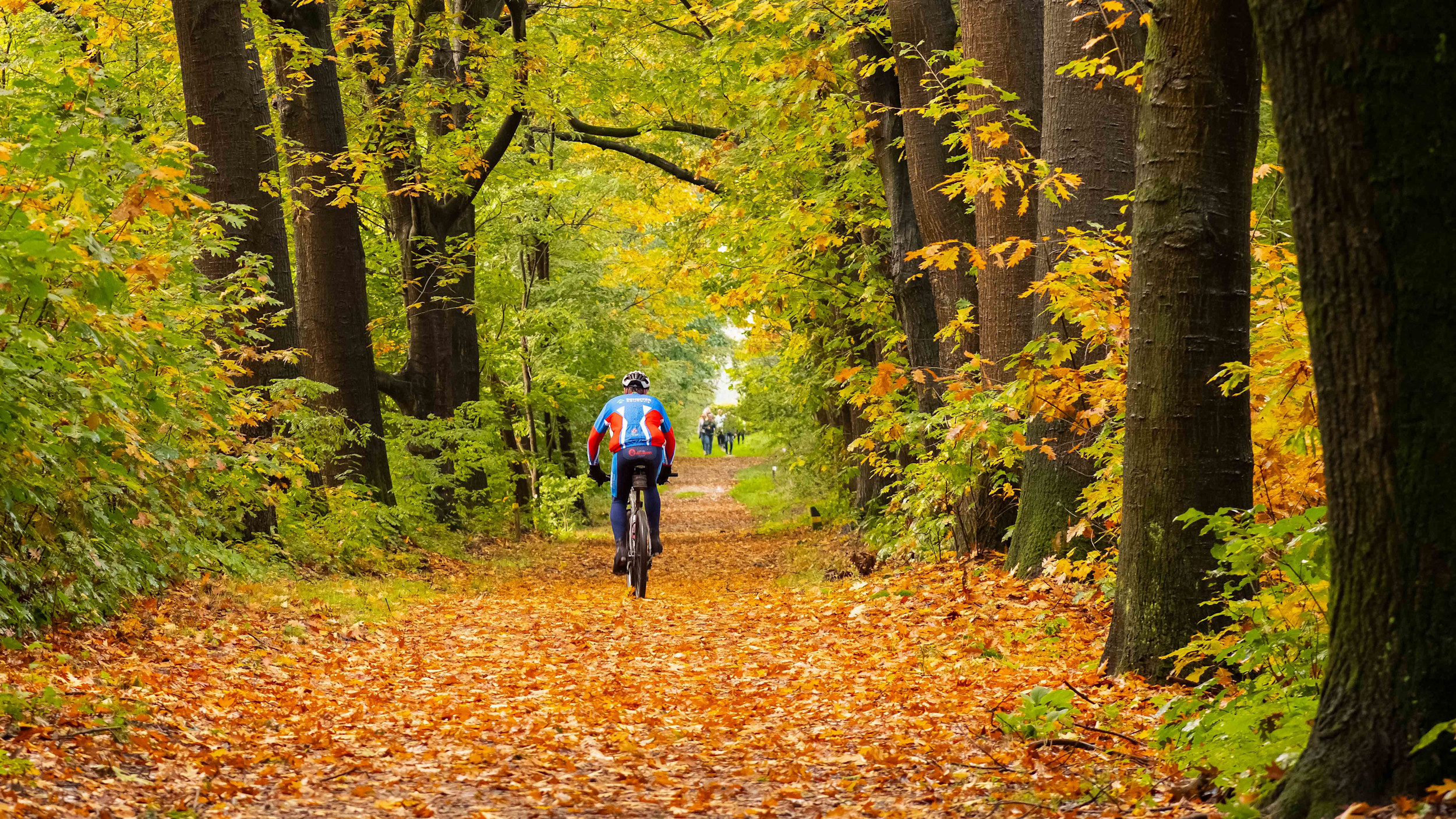 Deze herfstseizoenen telde de meeste warme en zomerse dagen