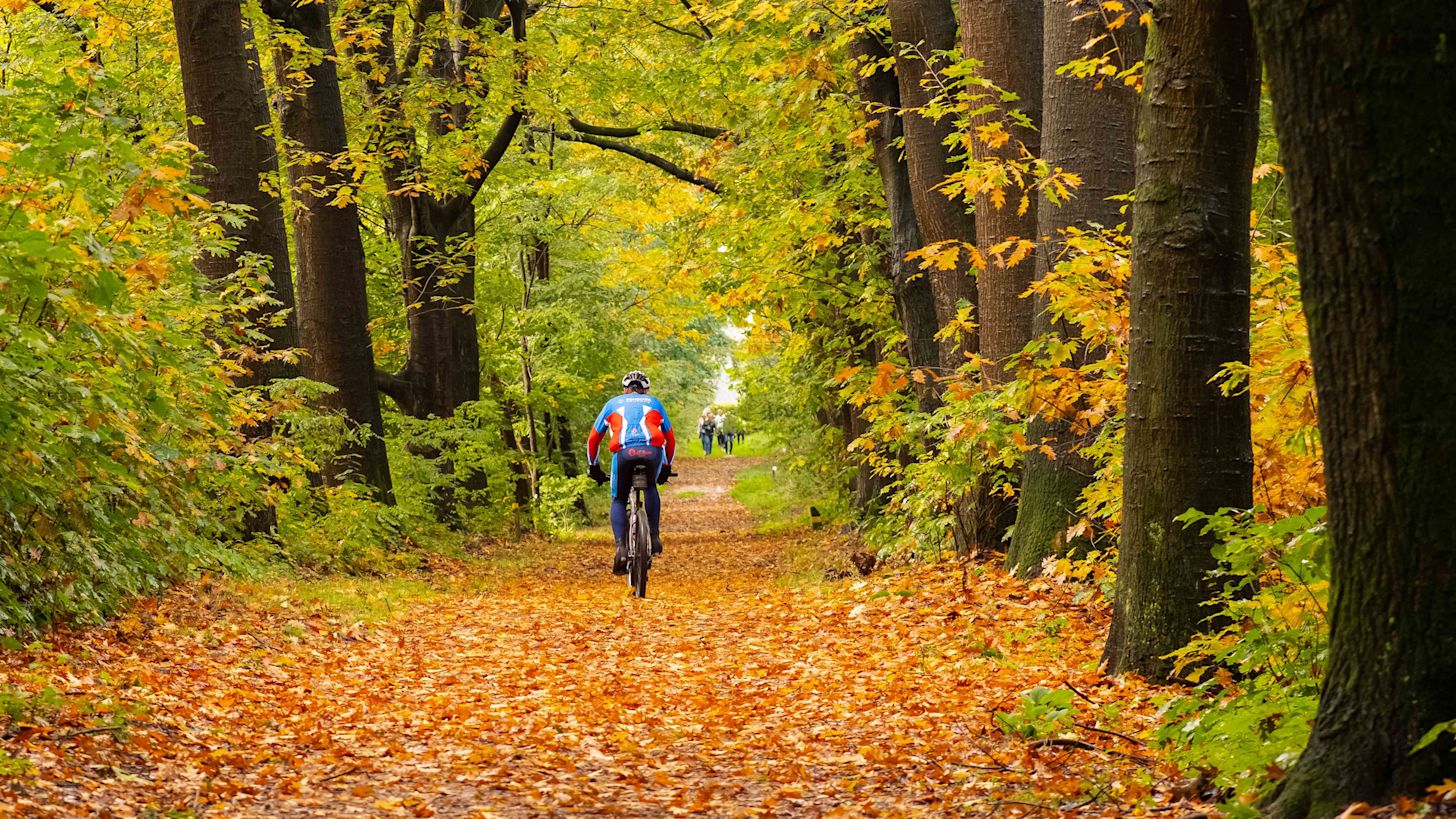 Fietsen in de herfstkleuren. Foto: Burry van den Brink.