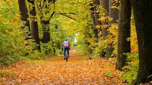 Deze herfstseizoenen telde de meeste warme en zomerse dagen