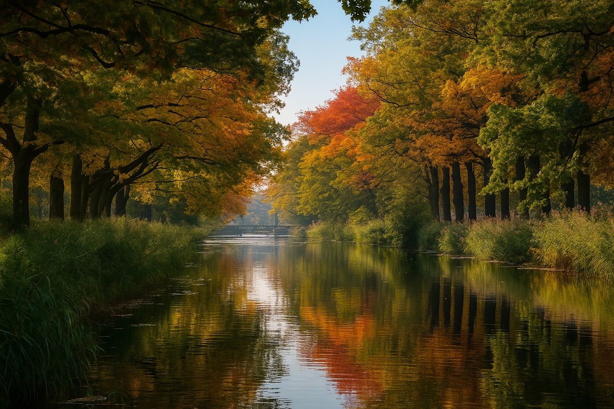 Herfstkleuren in het bos. Foto: Dave Haasewinkel