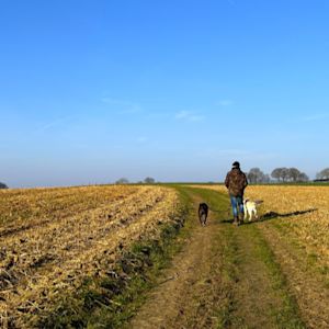 Weekverwachting: zacht lenteweer voorlopig weer voorbij