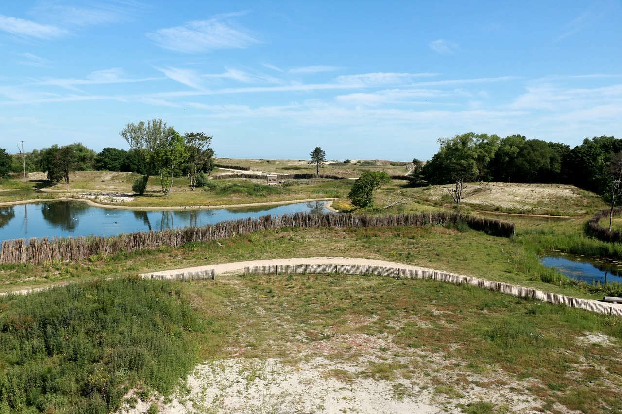 Natuurgebied het Zwin nabij Cadzand. Foto: Adobe Stock / Susy