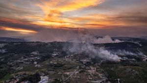 Bosbranden in Portugal aangewakkerd door hoge temperaturen en veel wind