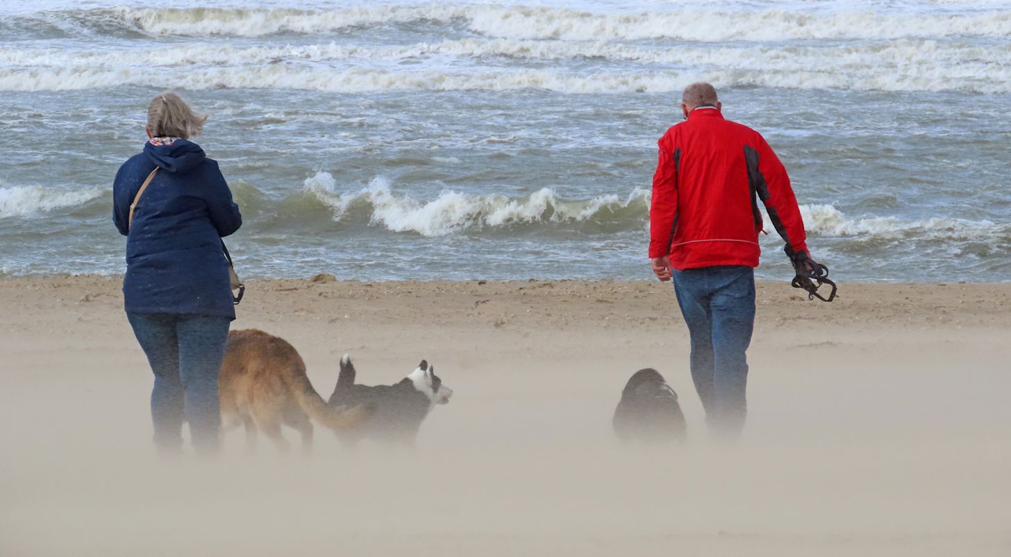 Met name aan zee kan het erg onstuimig zijn. Foto: Gieny Westra.