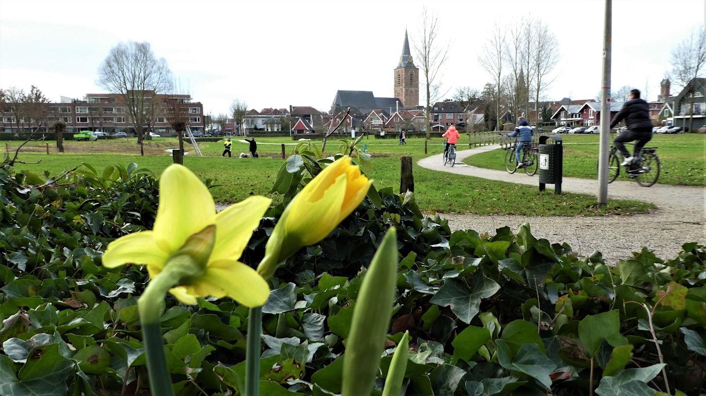 Het lijkt wel lente in de winter