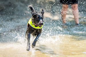 Oostenrijk kent warmste zomer ooit