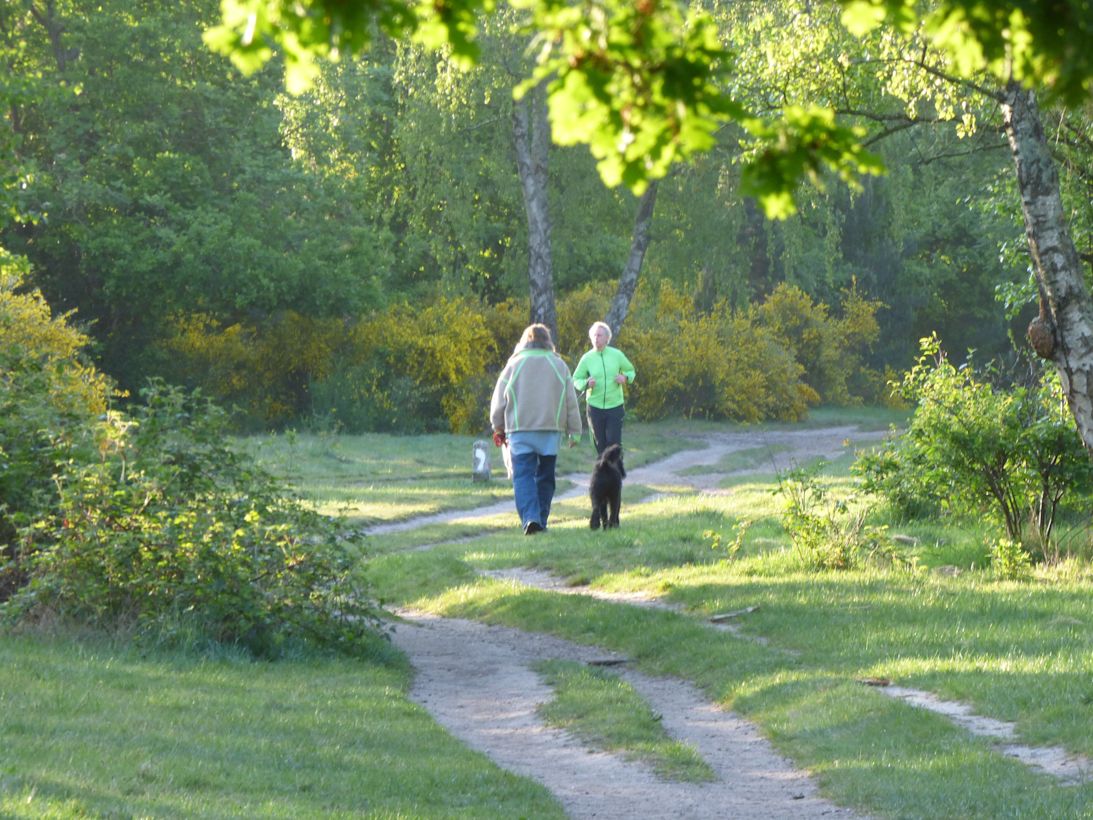 Het was vaak droog en zonnig. Foto: Chris Meewis