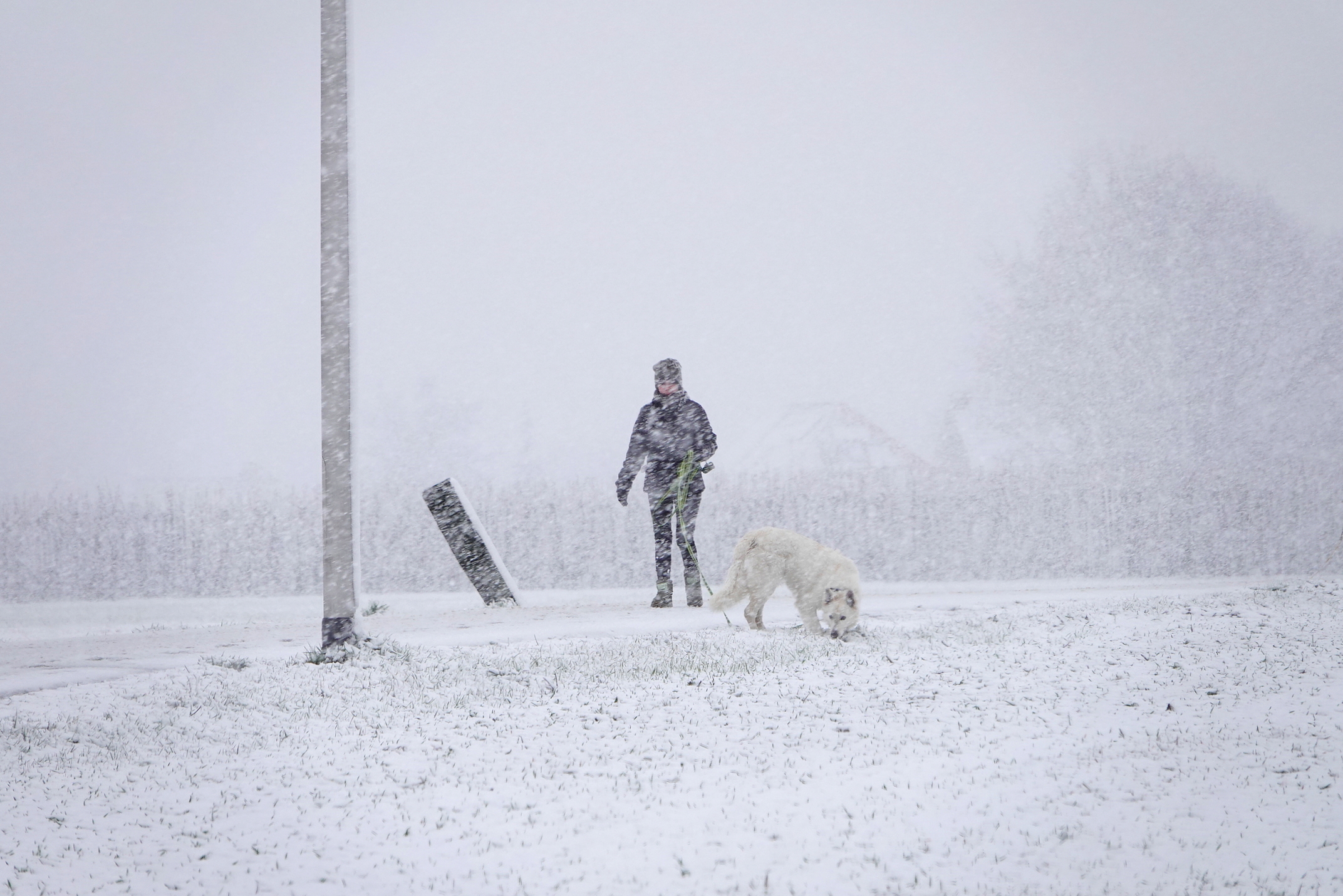 Dit soort plaatjes gaan we maandag zeker zien! Foto: Ben Saanen