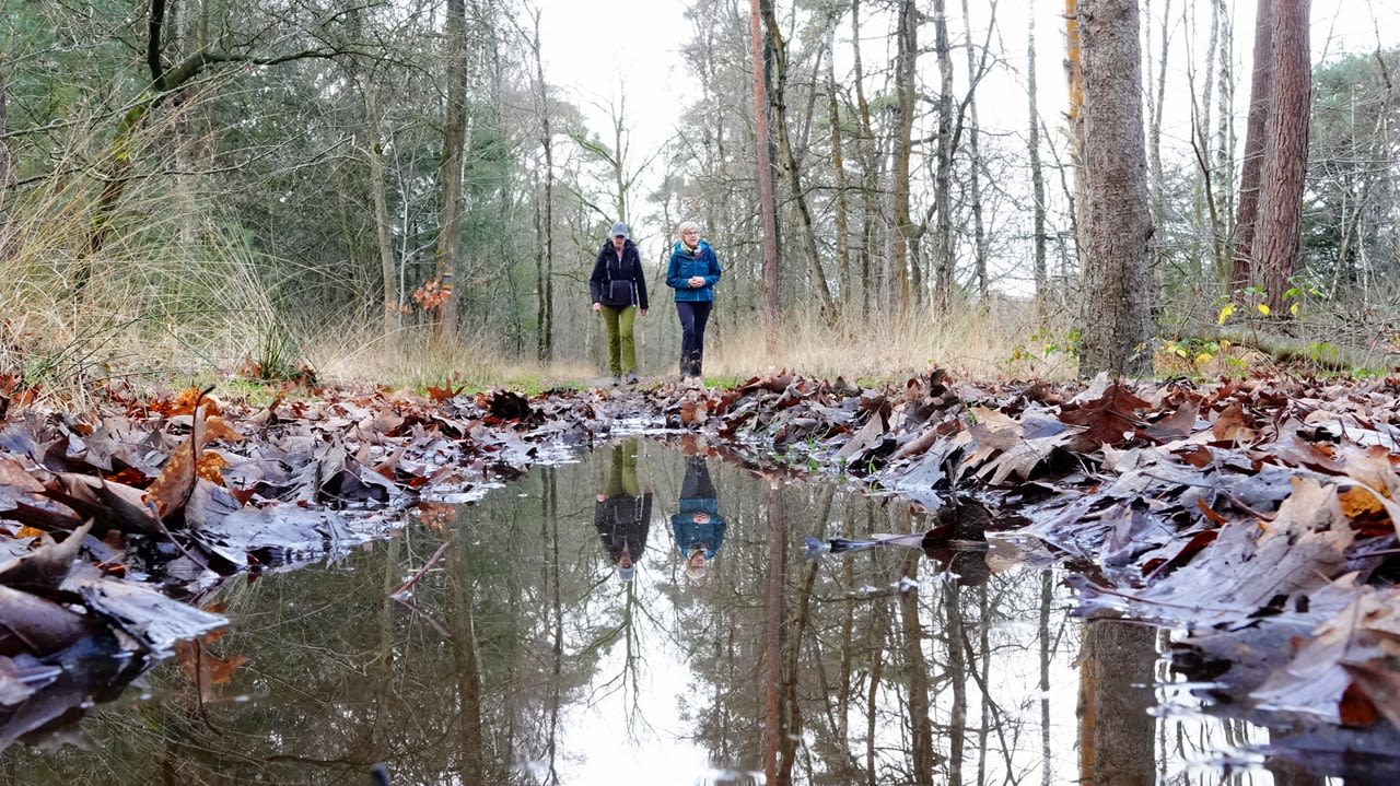 Het is vaak bewolkt, maar wel droog. Foto: Ben Saanen