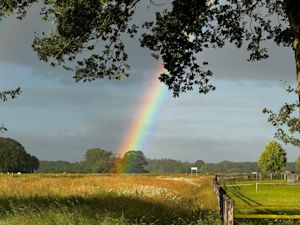 Hoe ontstaat een regenboog?