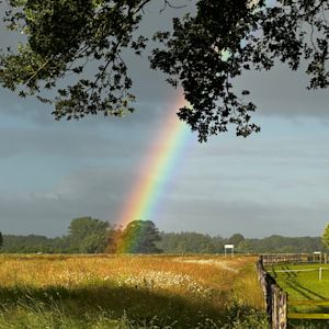 Hoe ontstaat een regenboog?