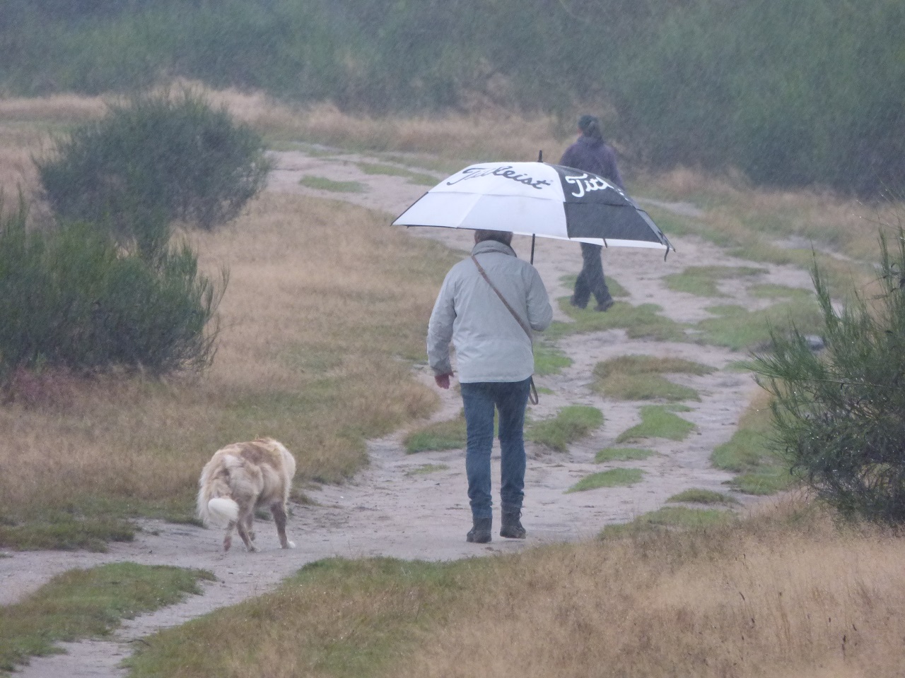 Vooral de eerste dagen van de week is het soms een natte bedoening. Foto: Chris Meeuwis