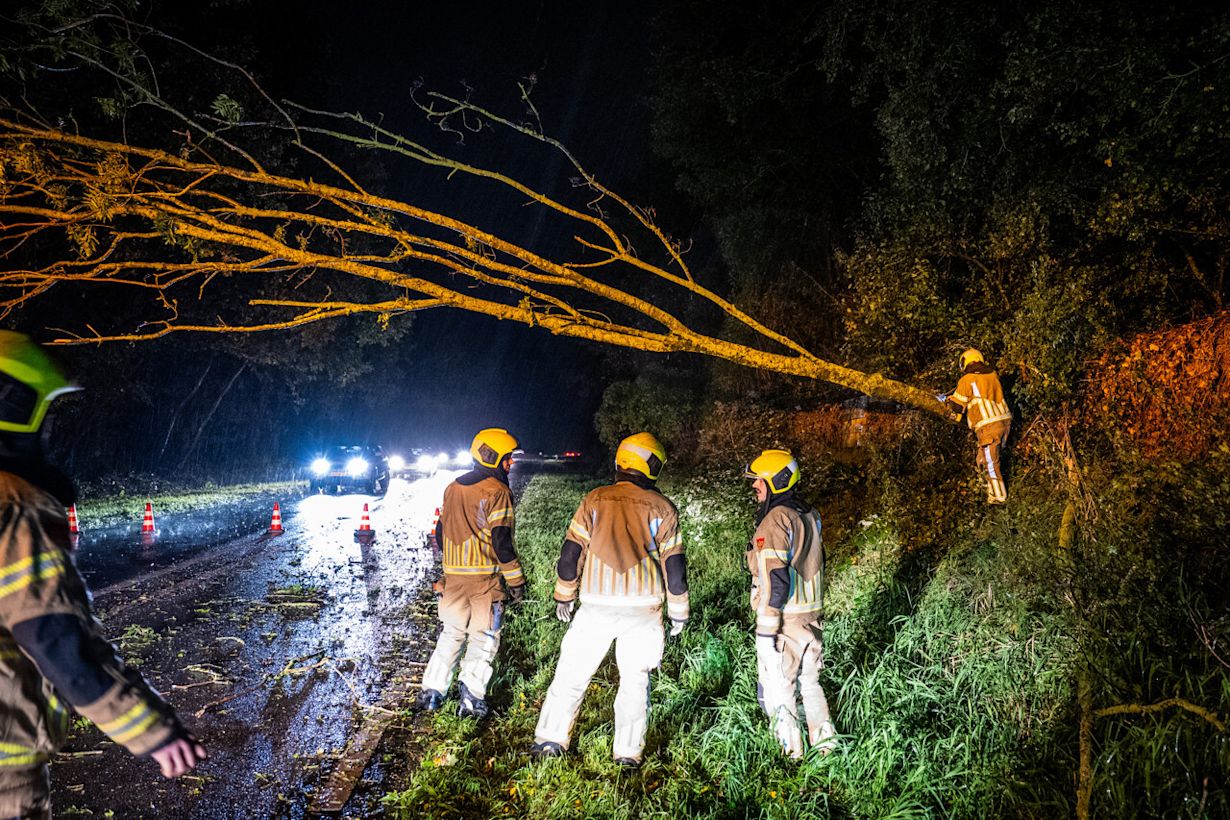 Brandweer ter plaatse bij een omgewaaide boom langs de N207 bij Alphen aan de Rijn. Foto: Josh Walet / ANP