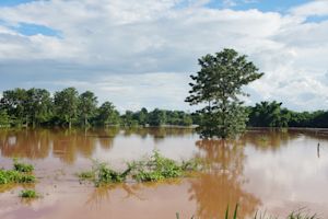 VN-agentschap zet grote informatiecampagne op rondom El Niño
