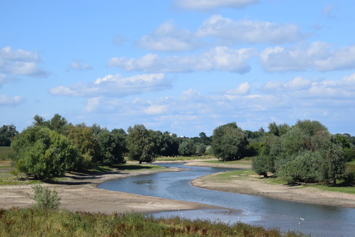 Wanneer de rivierstanden verder dalen vallen steeds meer uiterwaarden droog. Foto: André van Mourik.