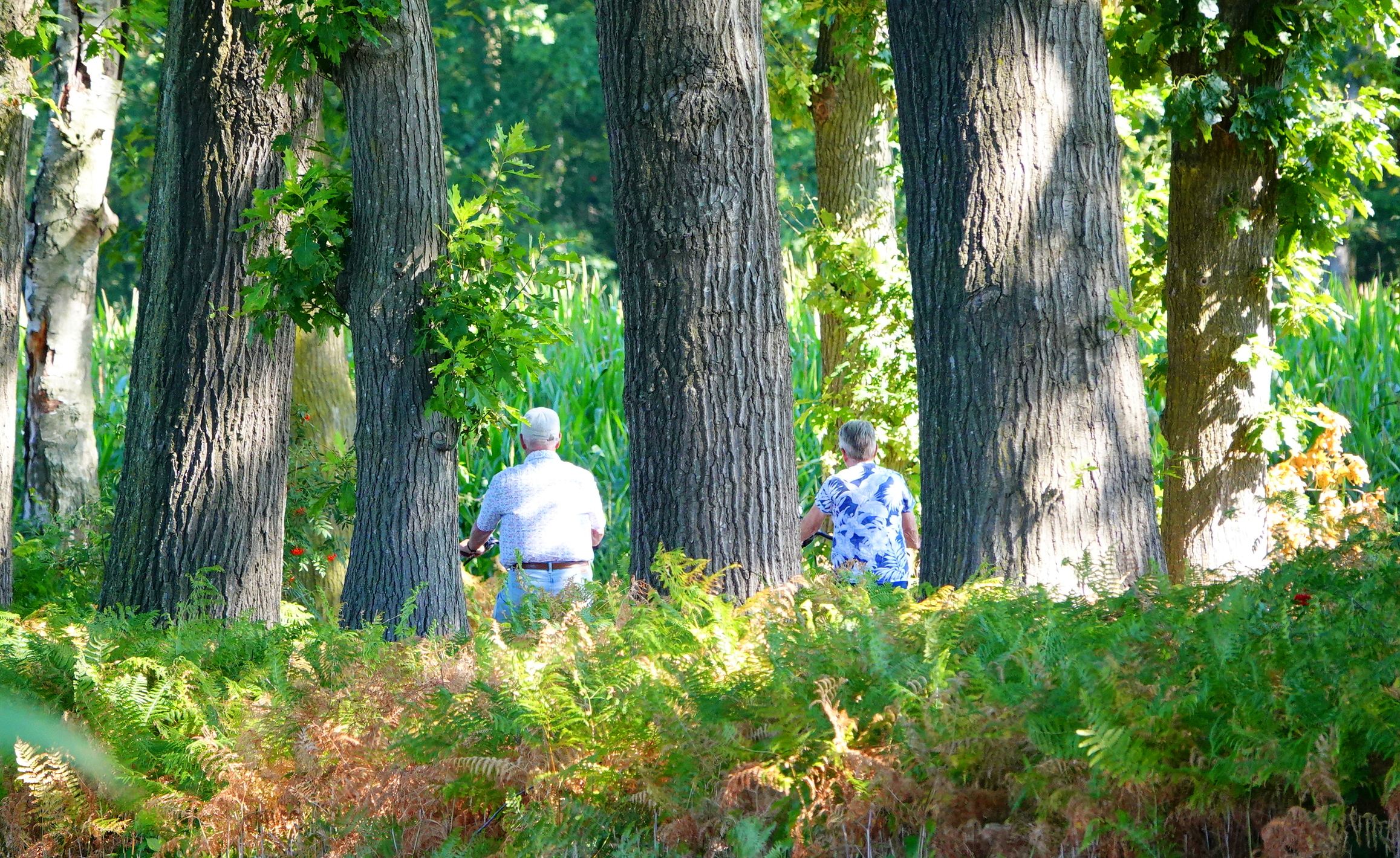 Weekendweer: heerlijk zomerweer