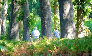 Weekendweer: heerlijk zomerweer