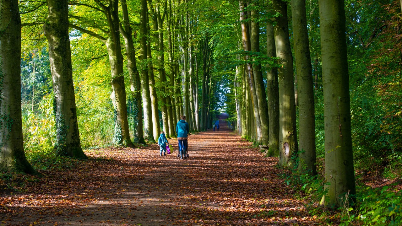 Waarom is de nazomer het ideale wandelseizoen?
