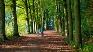 Waarom is de nazomer het ideale wandelseizoen?