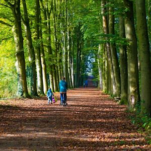 Waarom is de nazomer het ideale wandelseizoen?