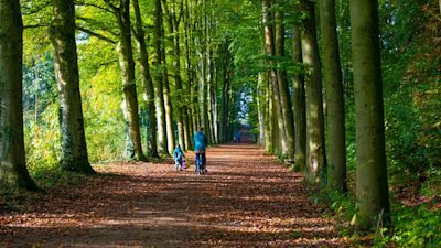 Waarom is de nazomer het ideale wandelseizoen?