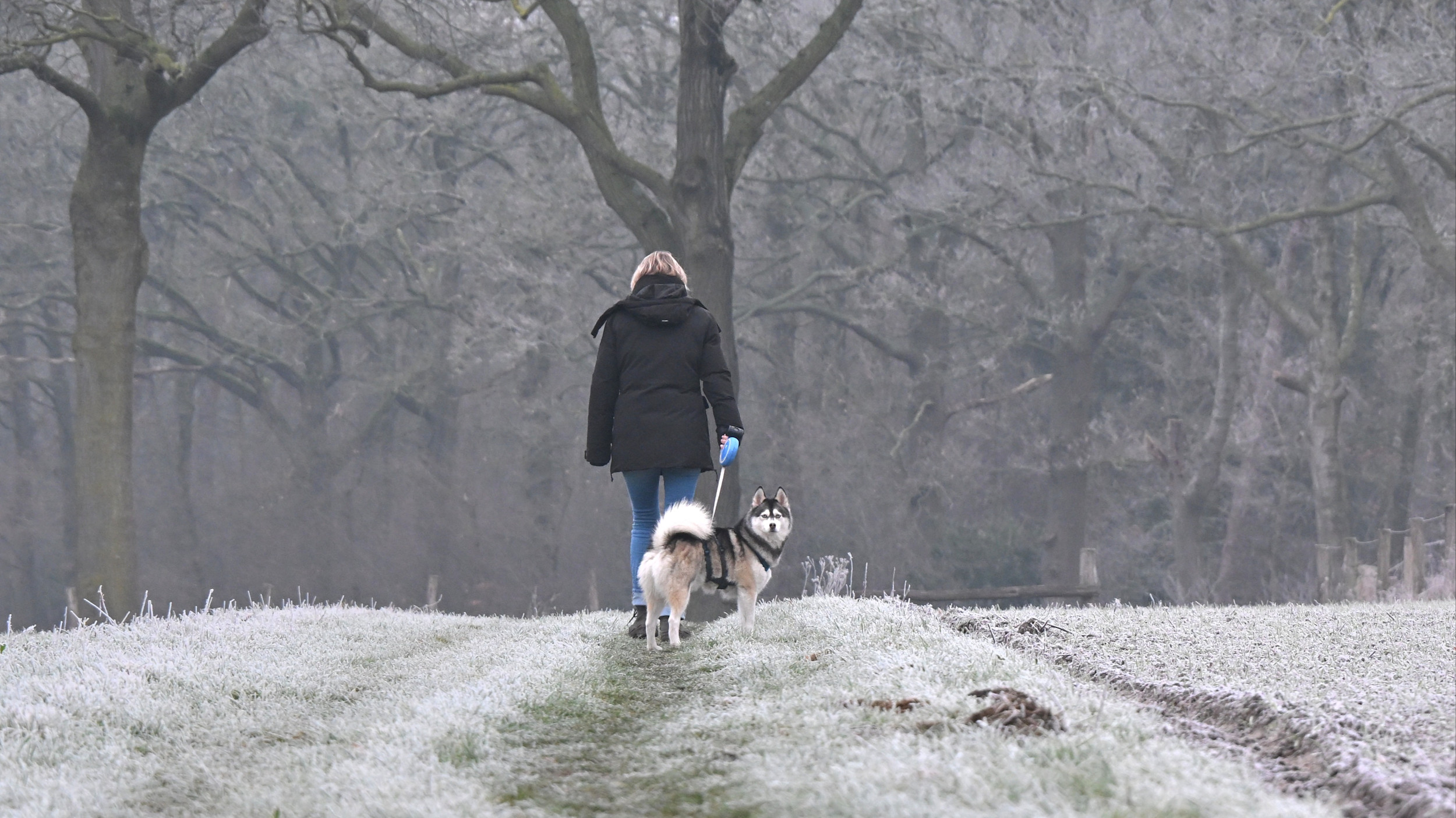 Maandverwachting: hoe koud verloopt de tweede helft van de winter?